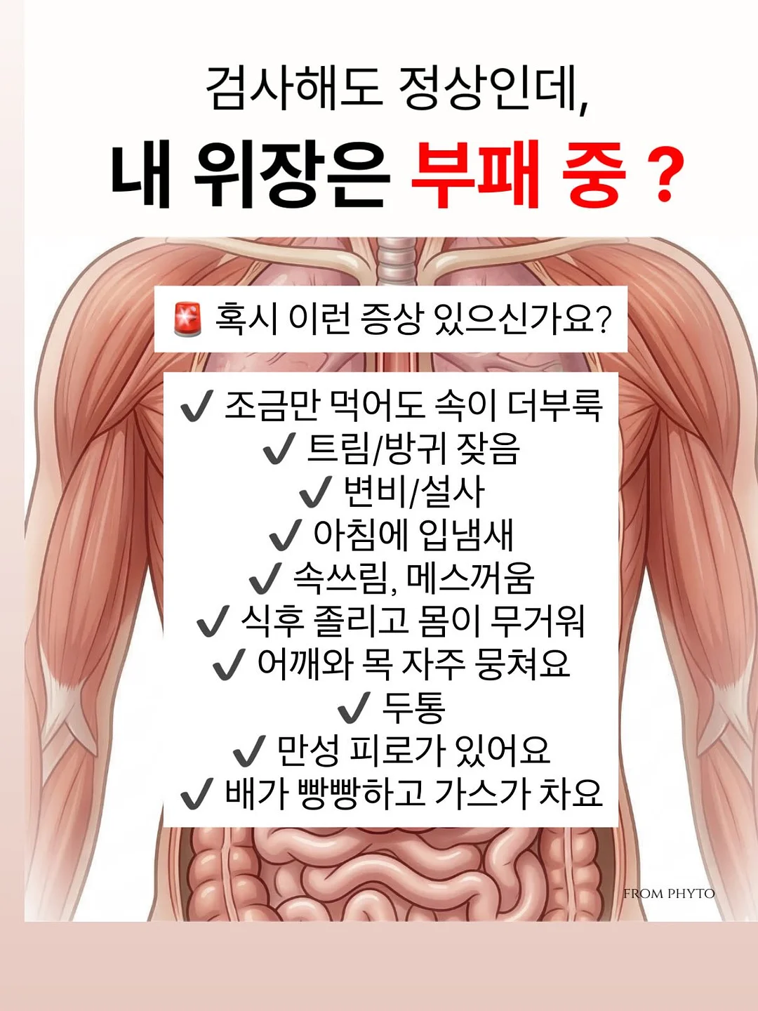 배석철 교수 암 예방 연구 발견 2