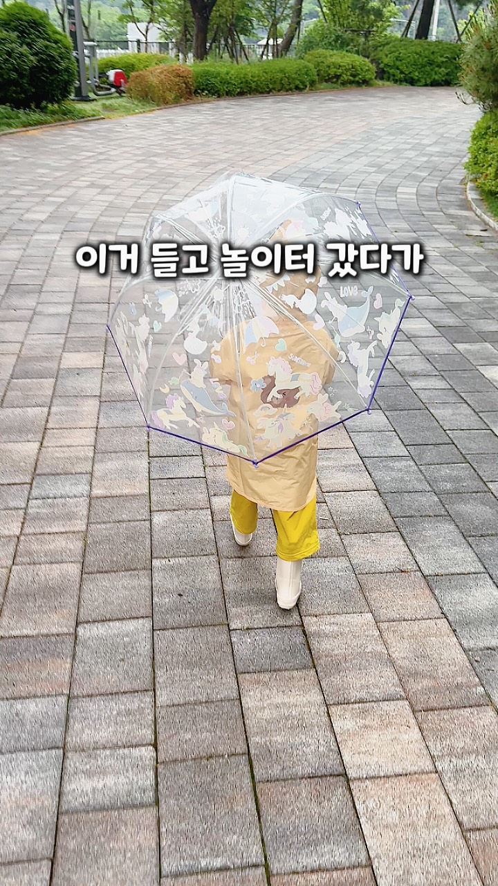 구즈마니아 체리백설공주 화분