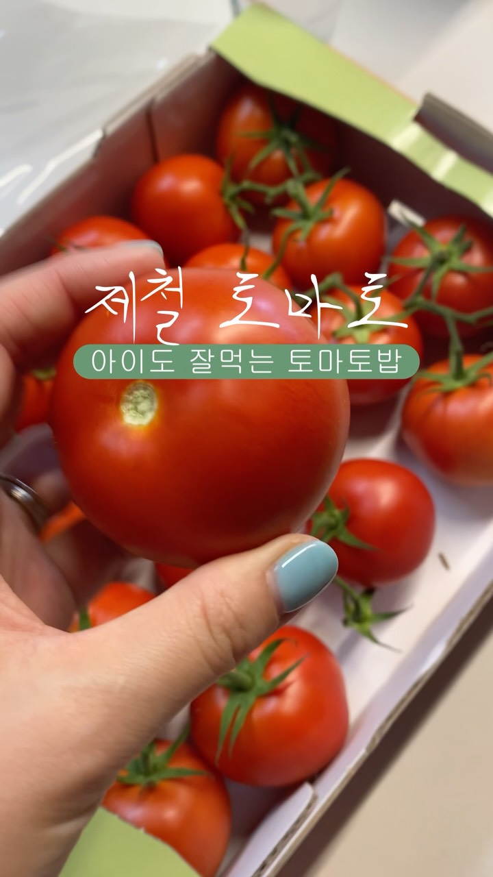 인형 신상