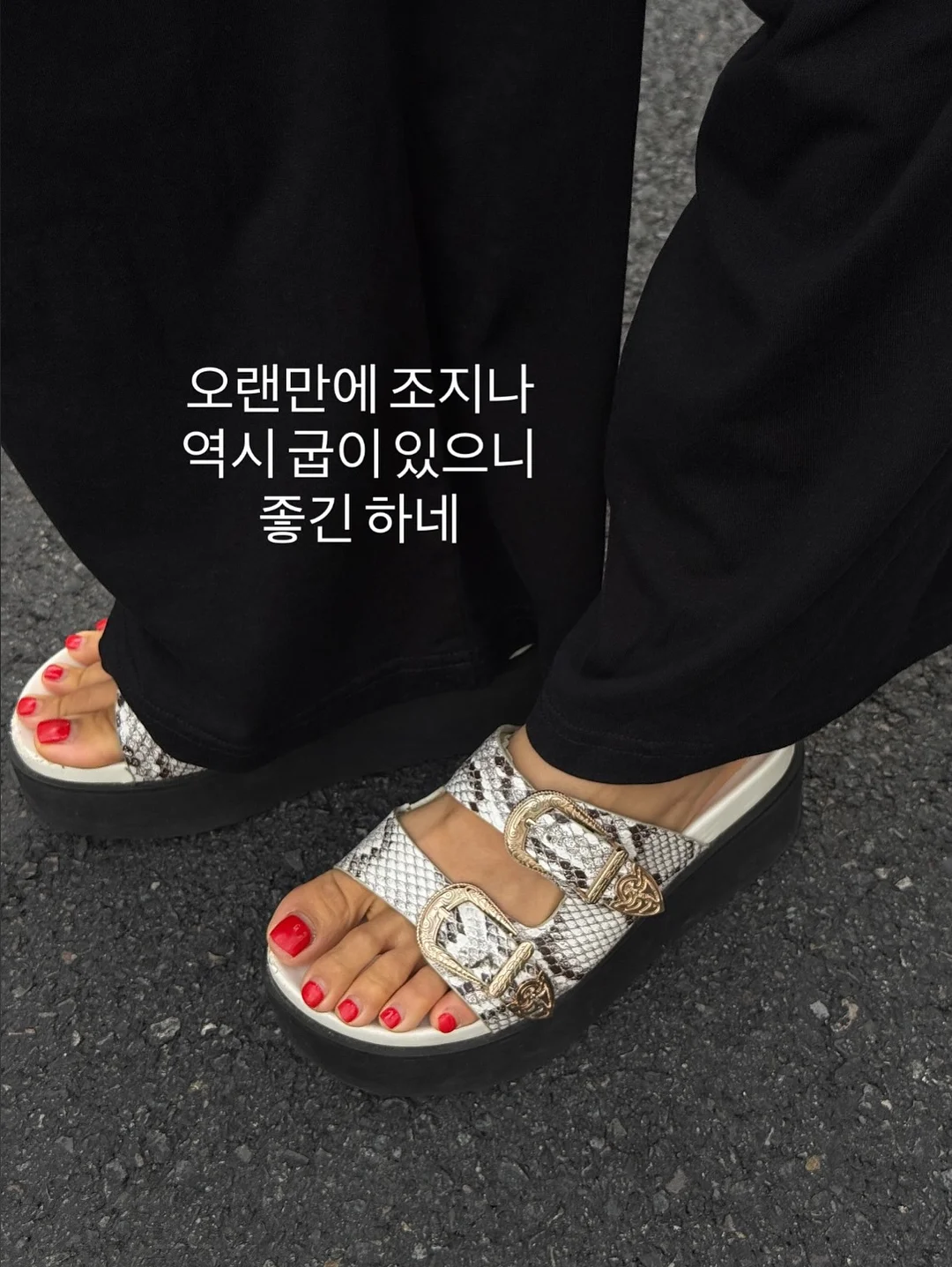 슬링샷 캐치볼 7