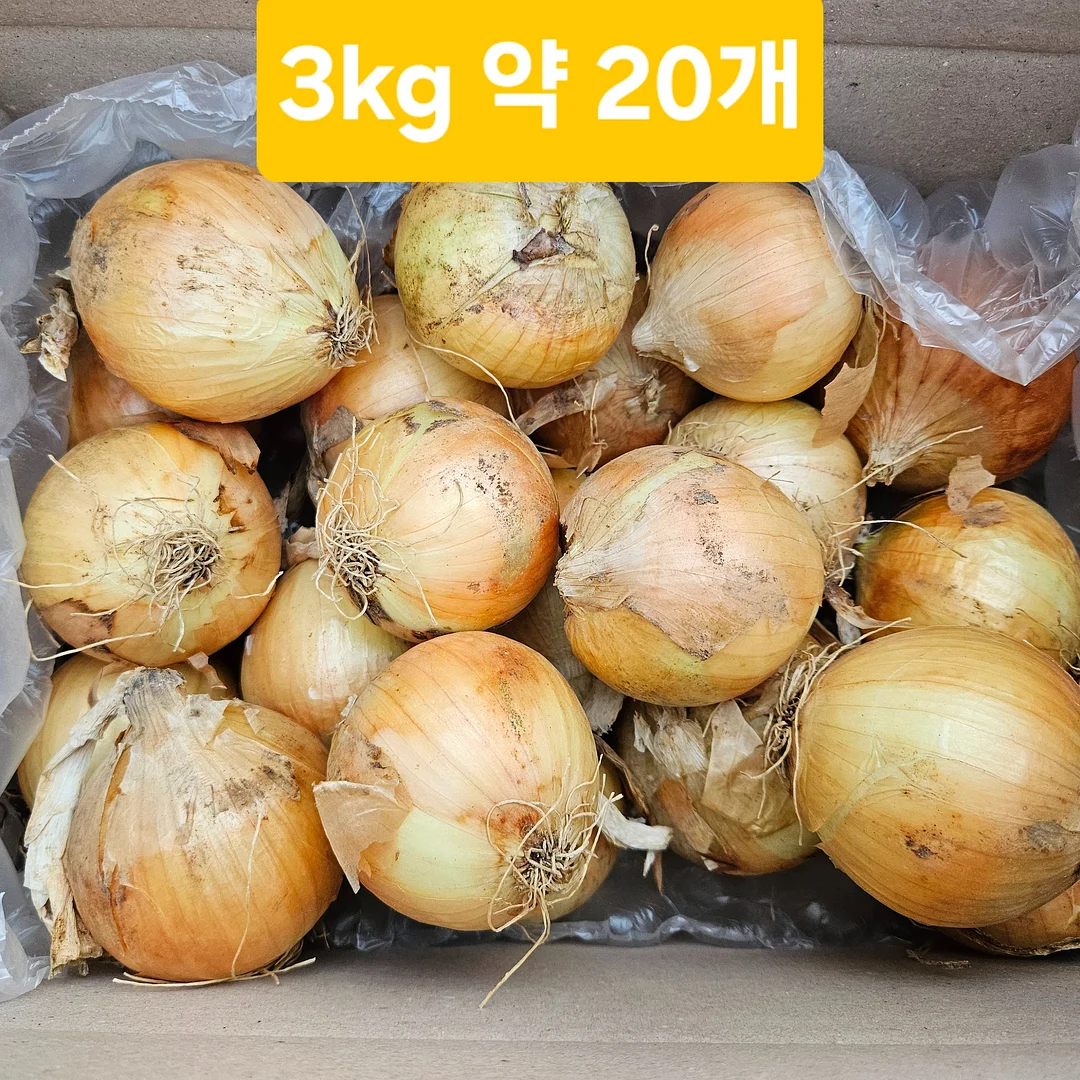 2026 밀림페어 파충류 박람회 입장권 2