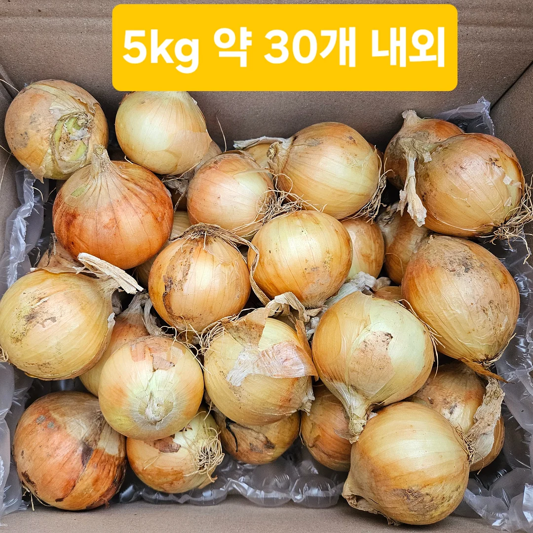 2026 밀림페어 파충류 박람회 입장권 3