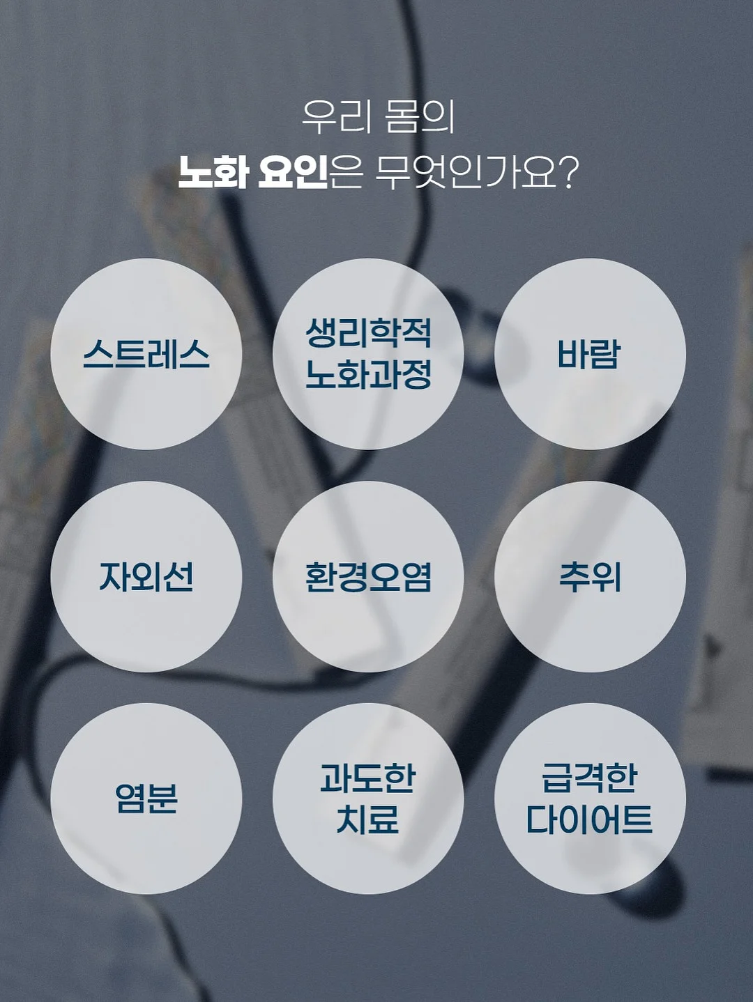 늘씬수 17