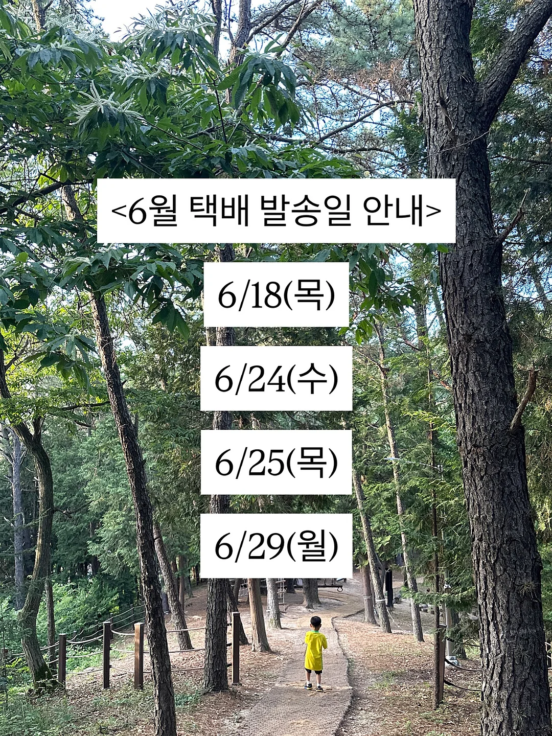 전동 폼롤러