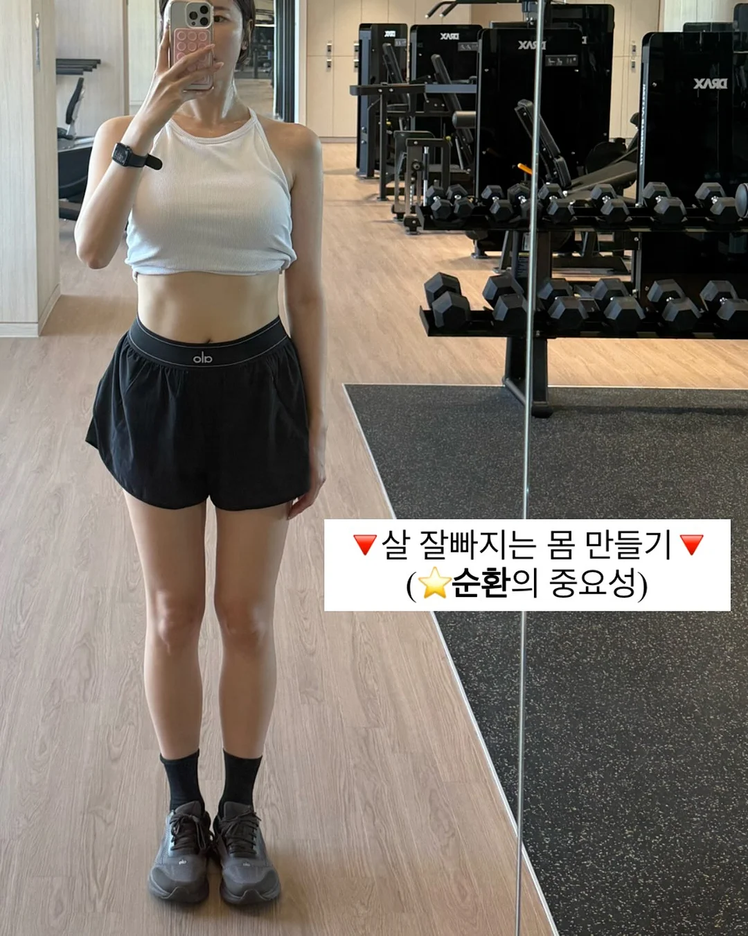 에테르나 양모볼+오일 1