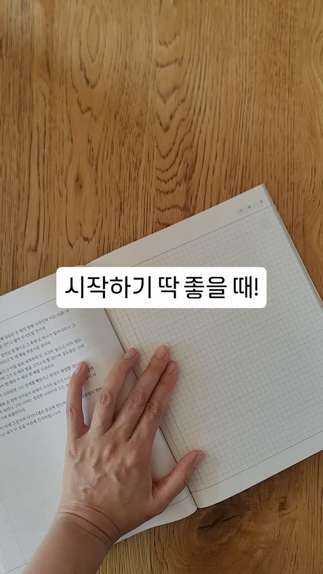 착장 의류
