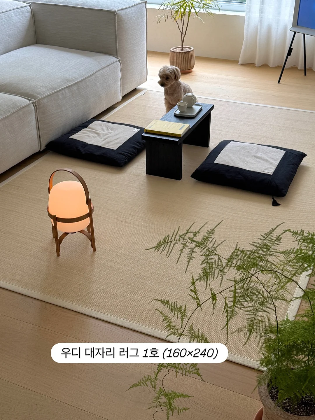 칠월키즈풀빌라 남해 금송/선구점 9