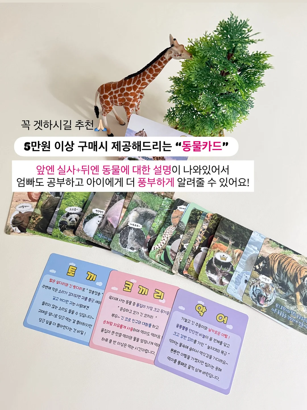 부츠컷 상하세트 14