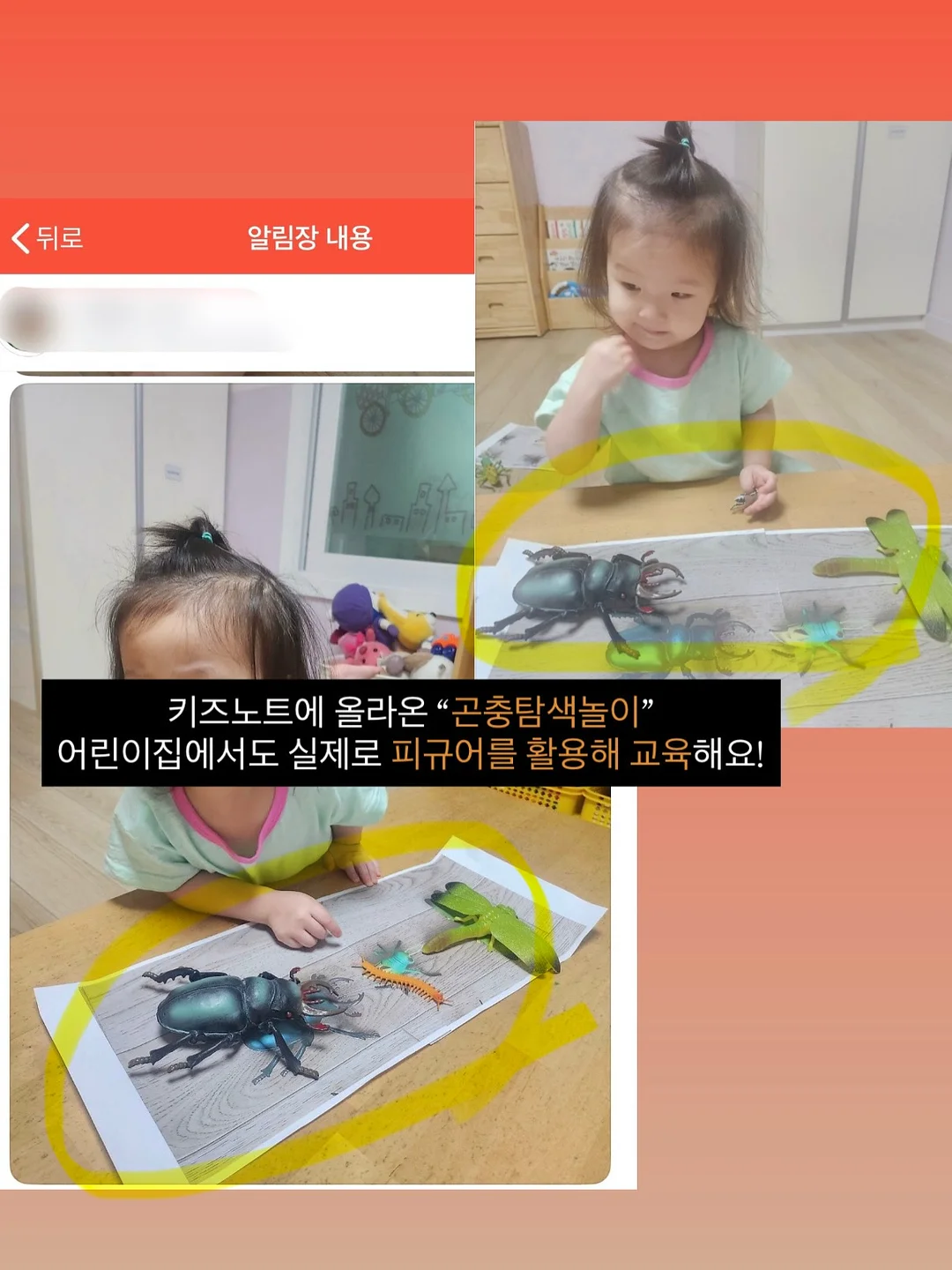 부츠컷 상하세트 5