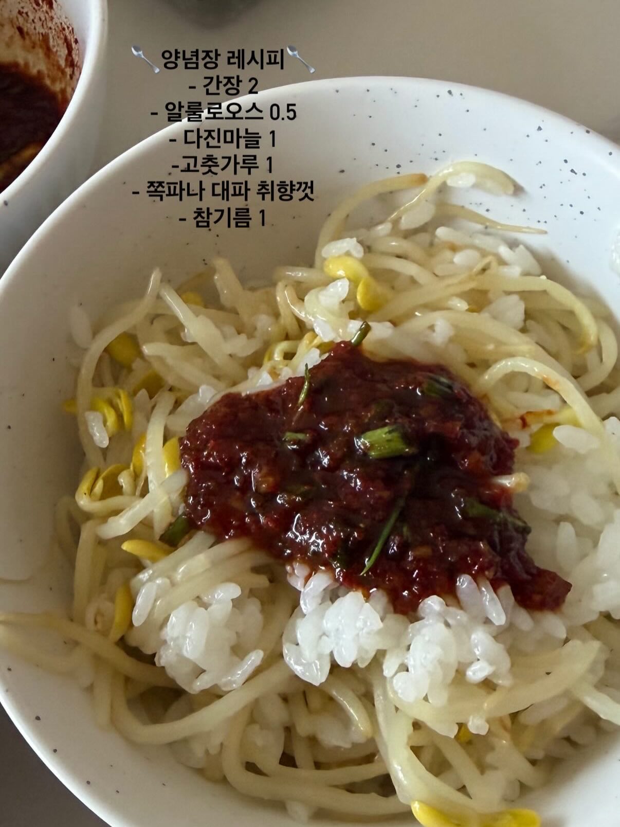 마운자로 레시피 2