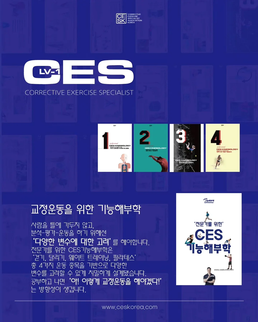 황룡의 속담 권법 9