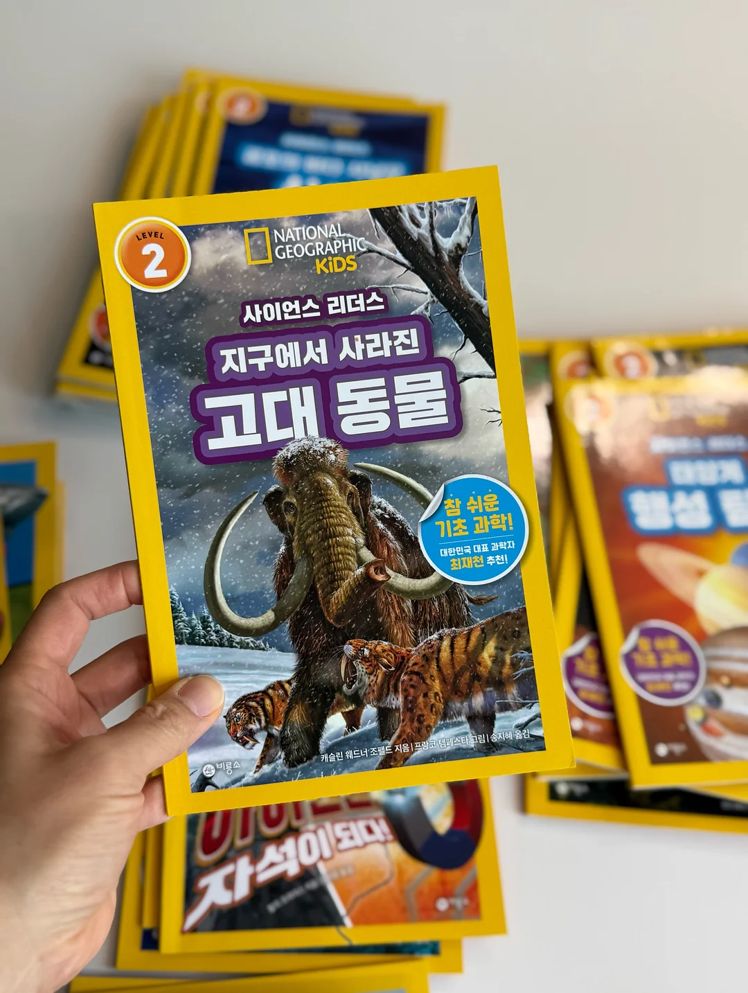 멸치볶음 17