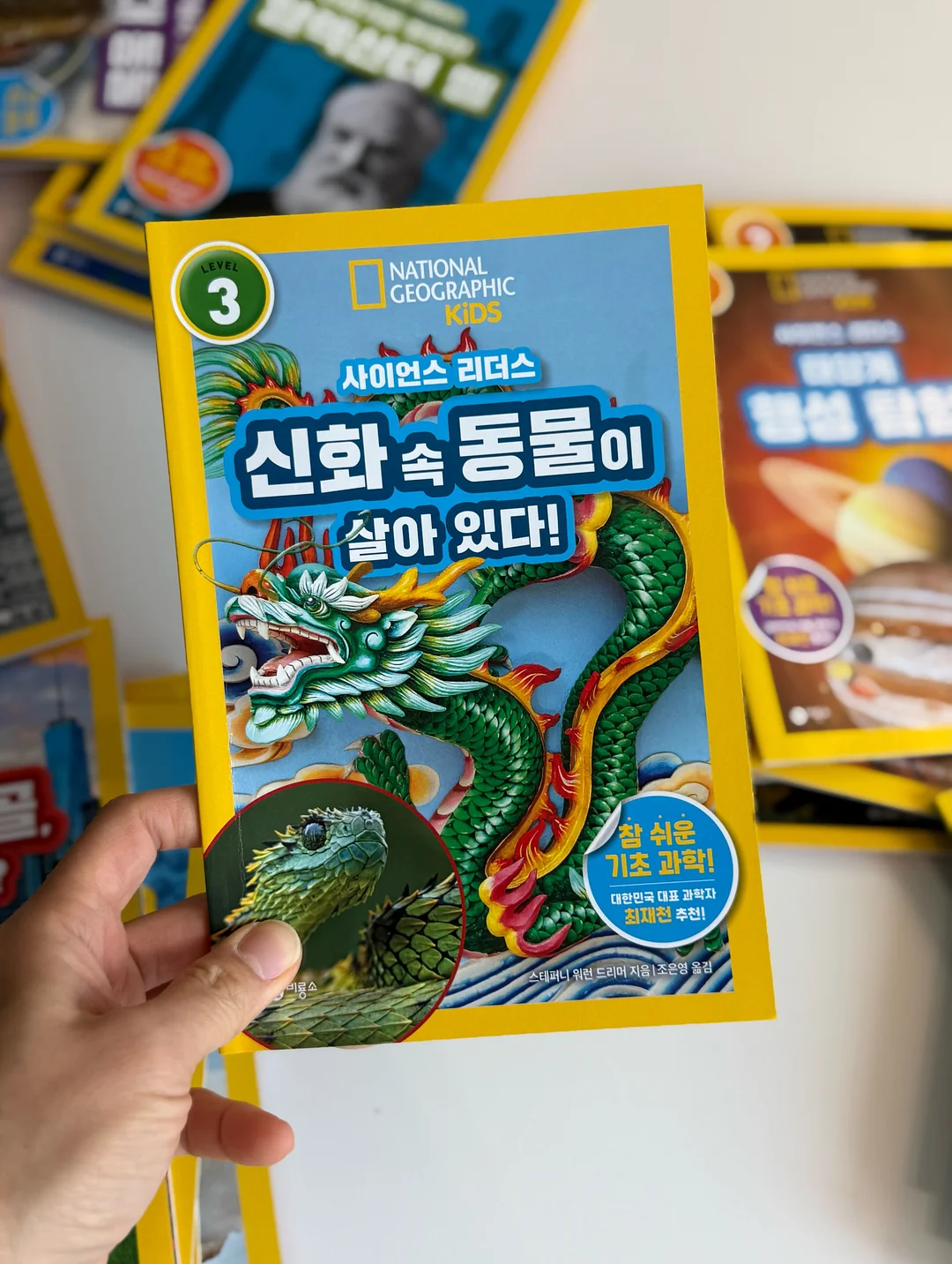 멸치볶음 18