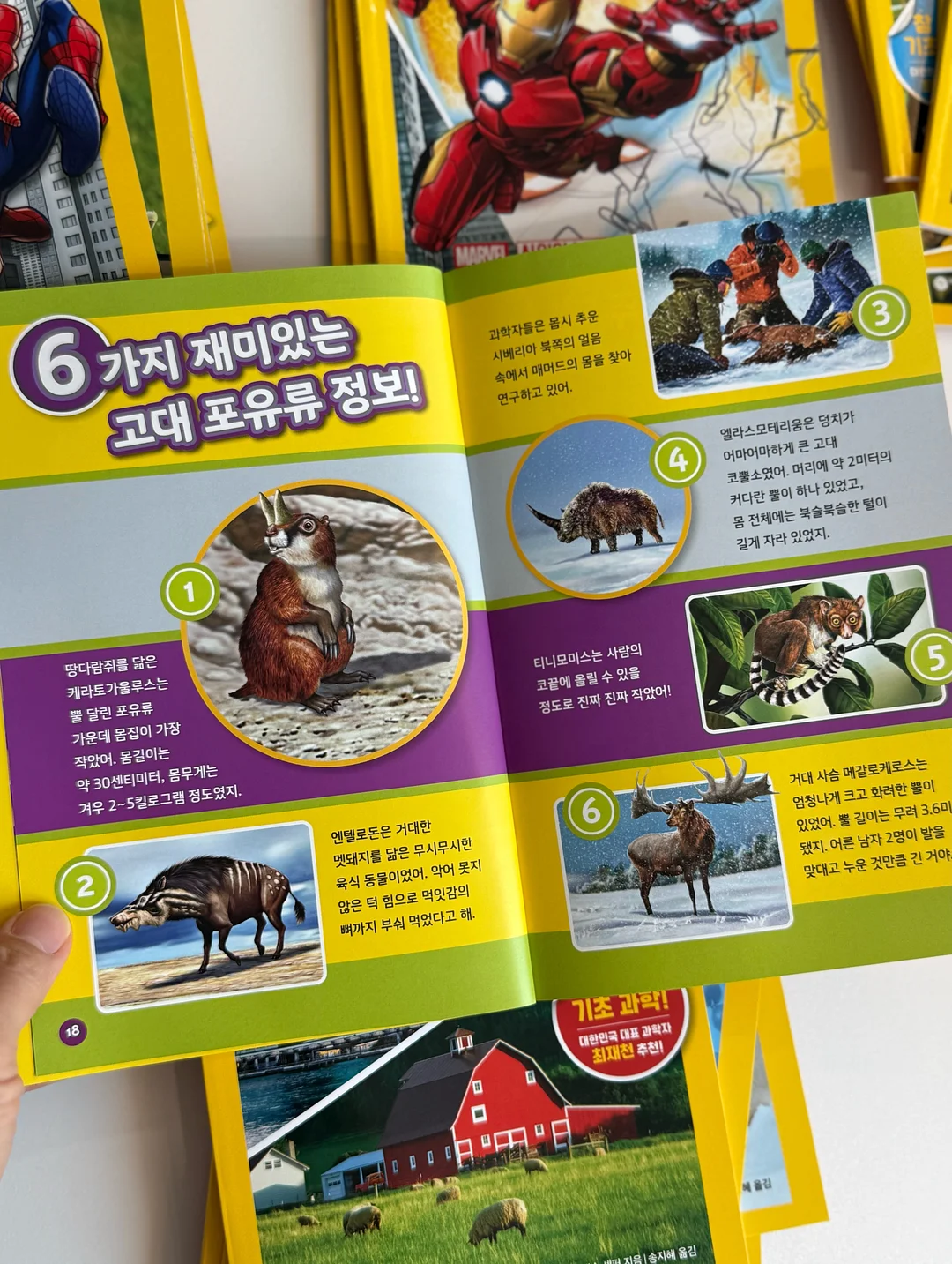 멸치볶음 19
