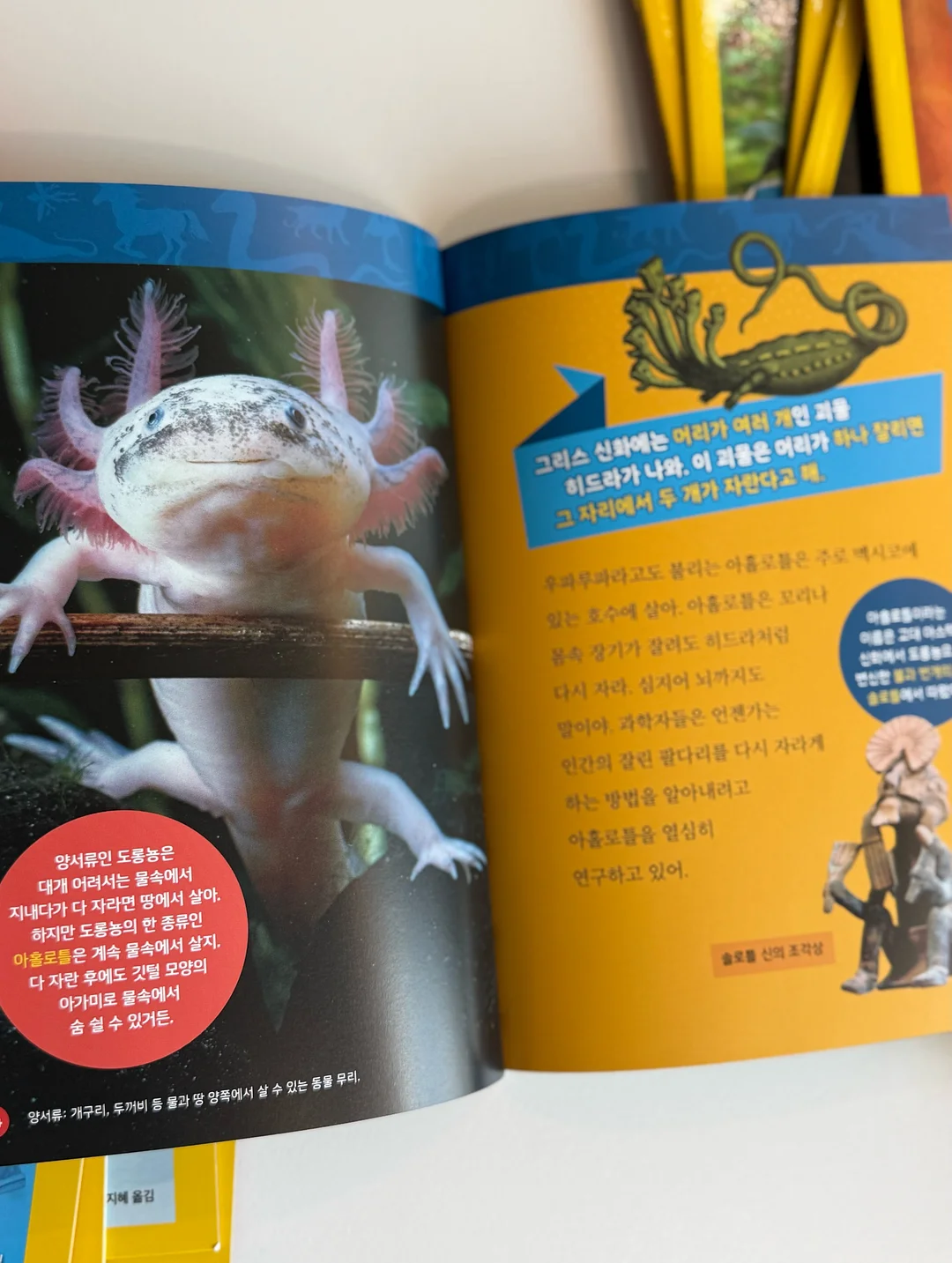 멸치볶음 20