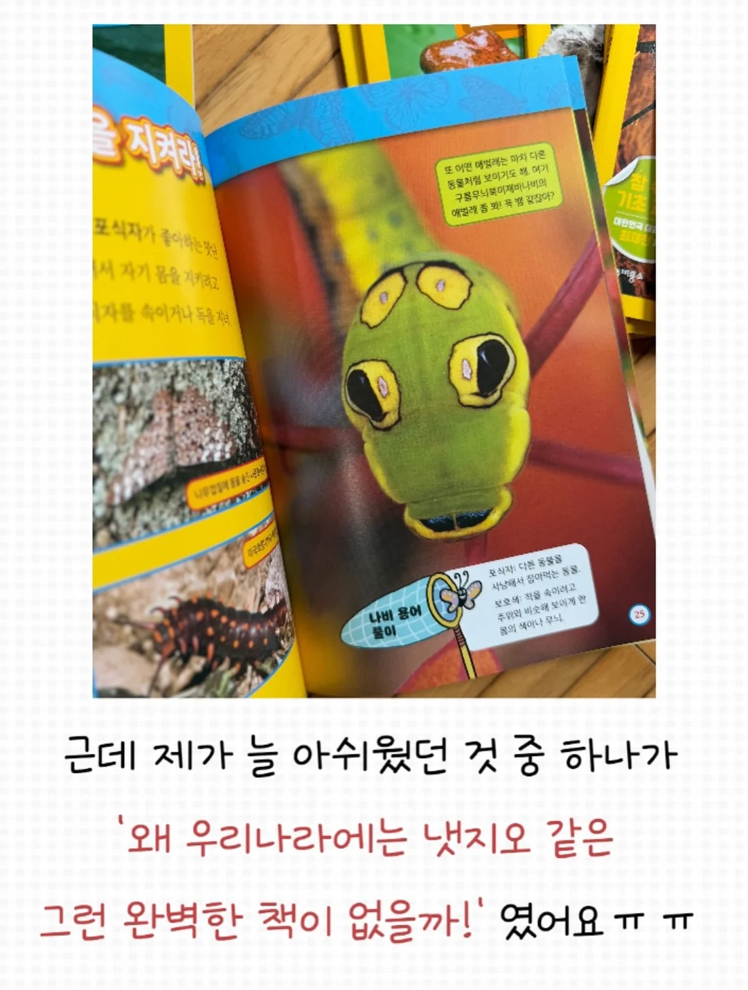멸치볶음 3