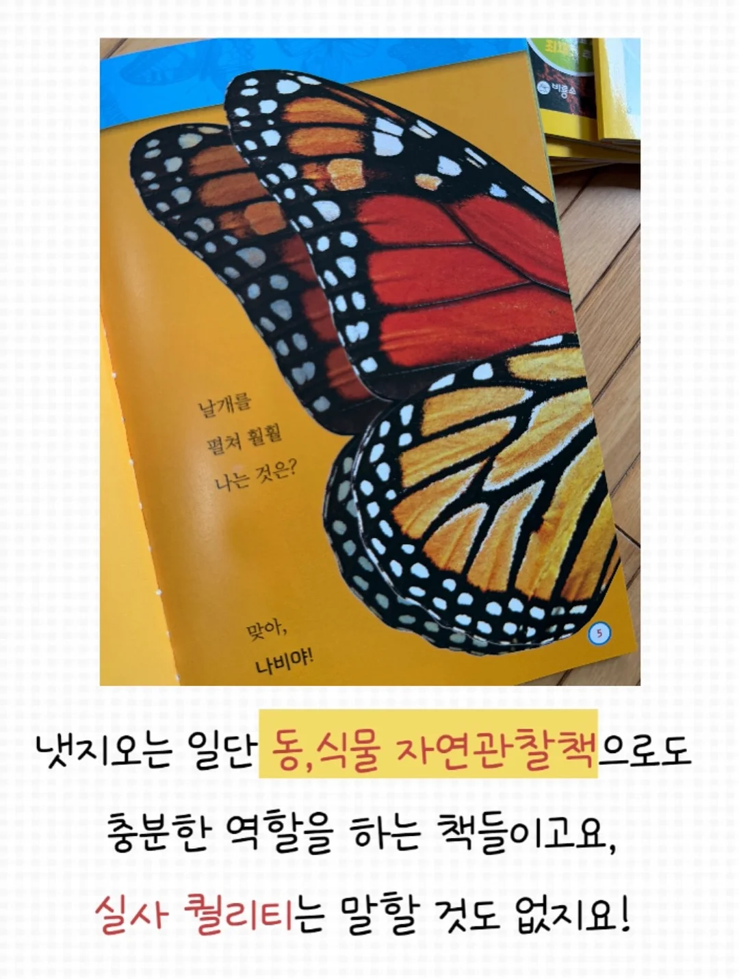 멸치볶음 4