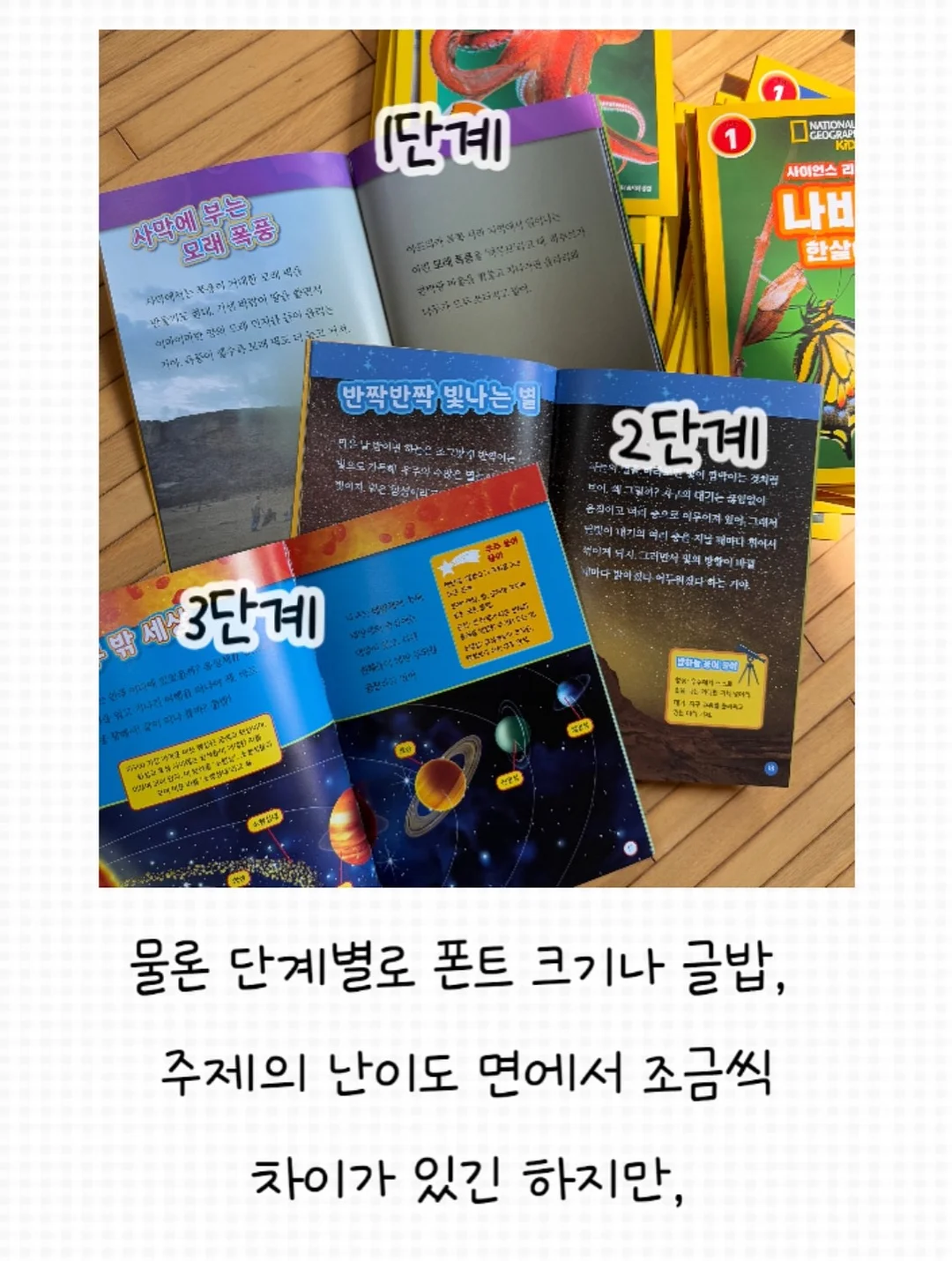 멸치볶음 6