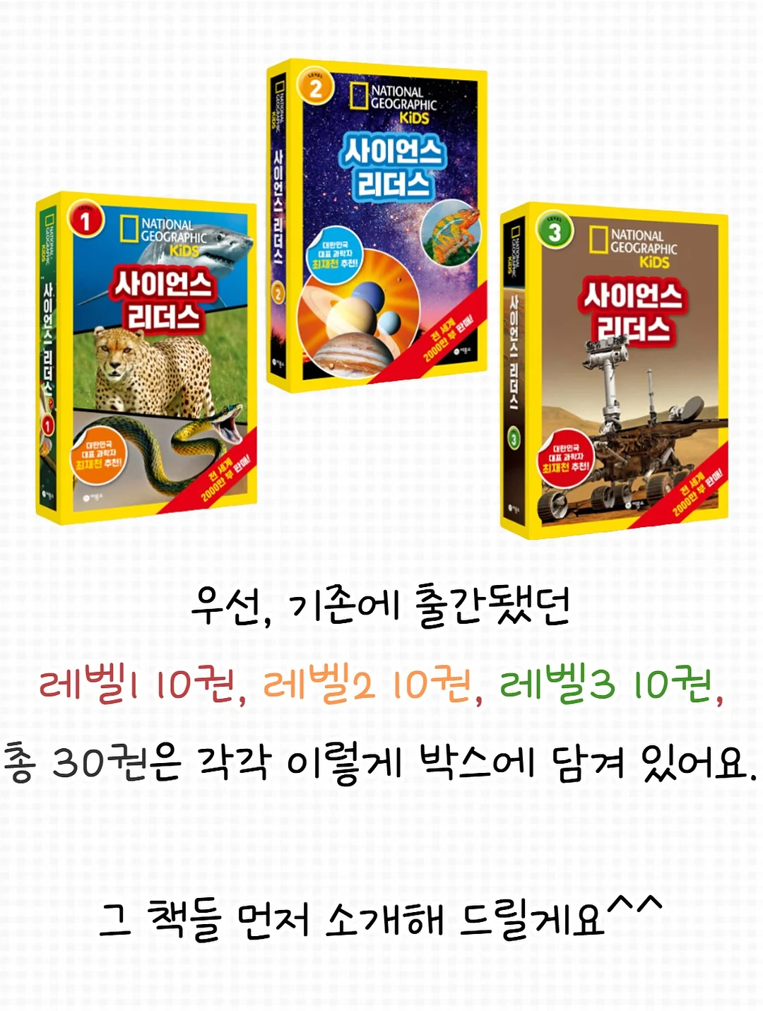 멸치볶음 8