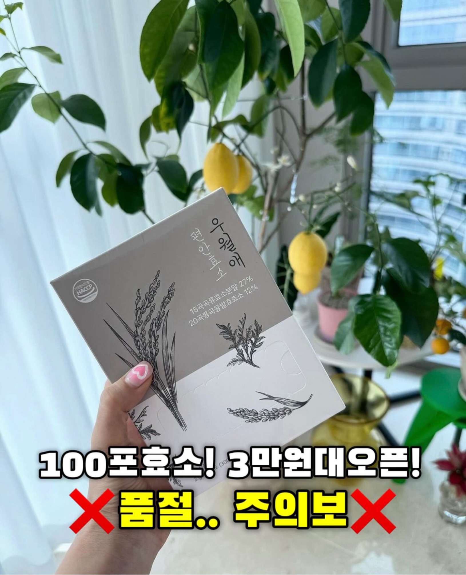 크리스마스 상자