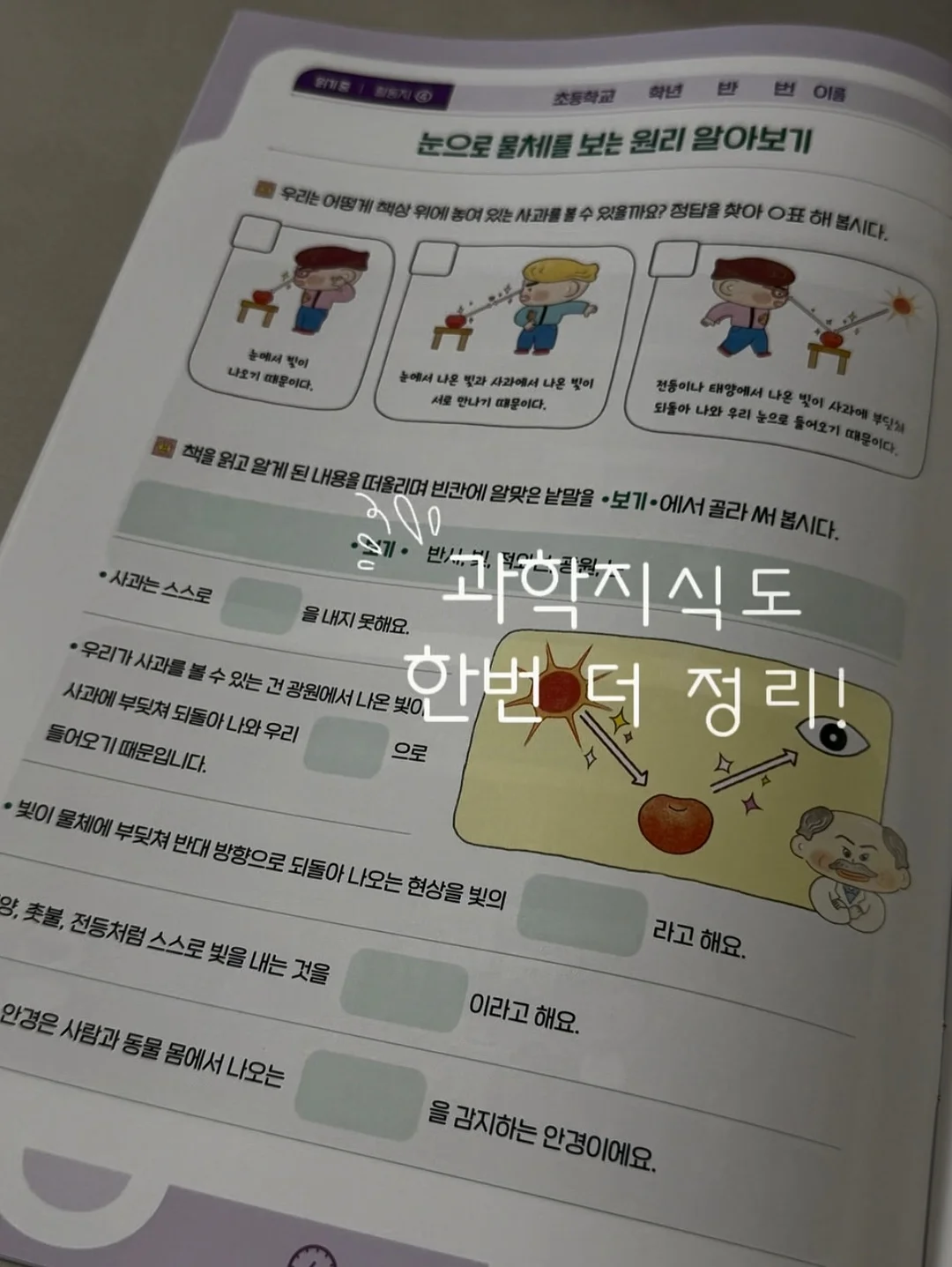 밤티 카드 스티커 10