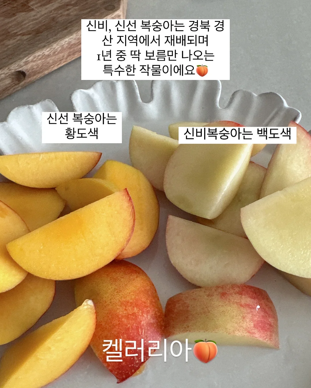 초코 가나슈 바게트 2