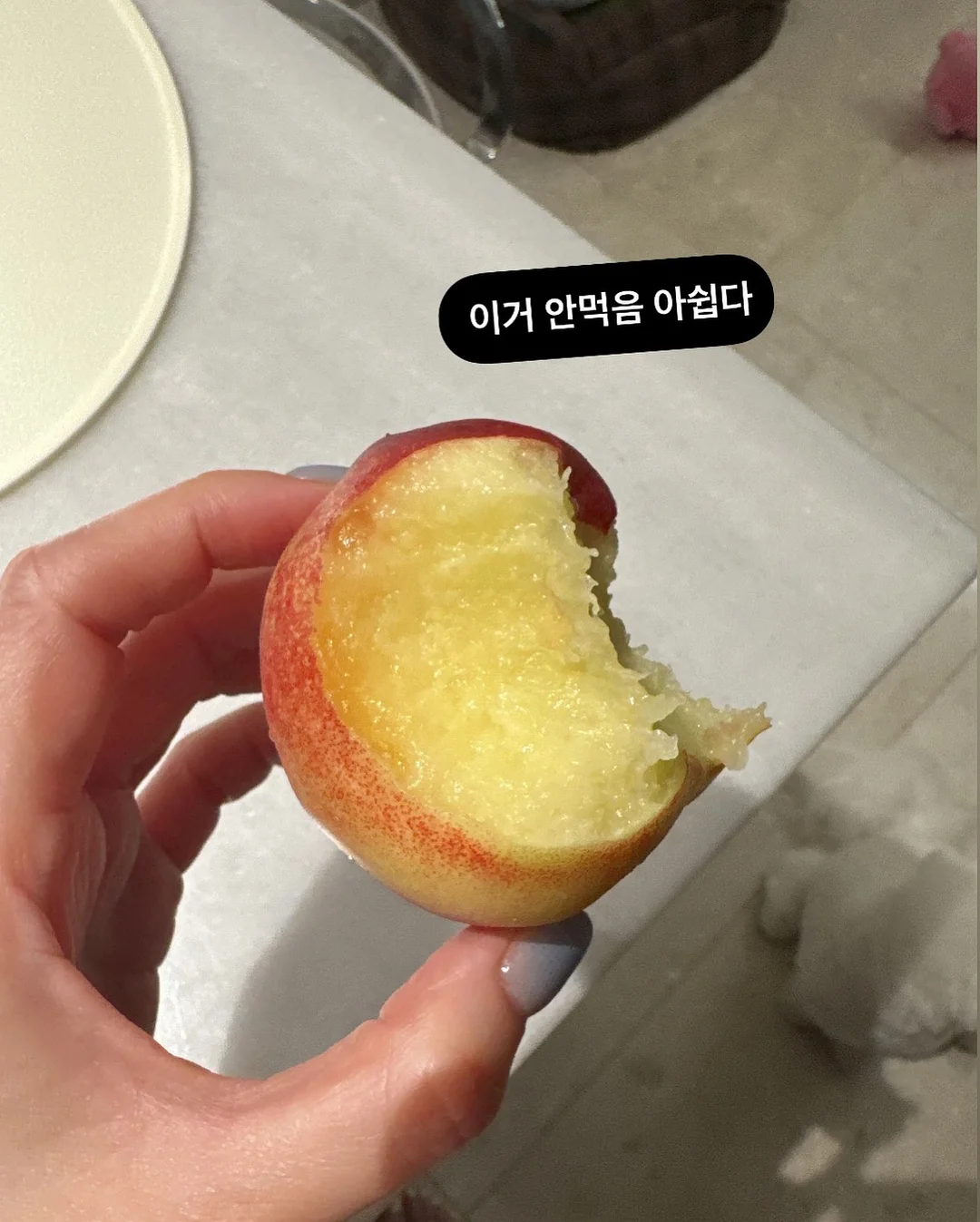 초코 가나슈 바게트 6