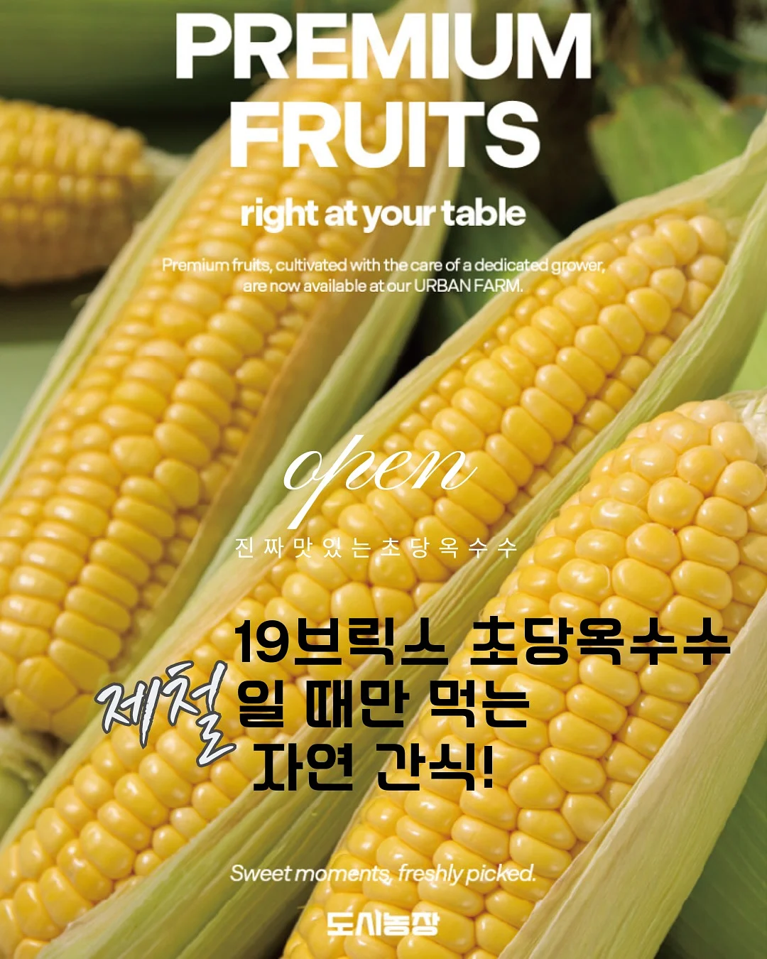 캉캉 오버롤 1