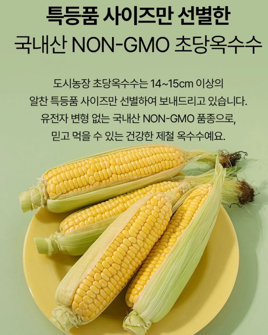 캉캉 오버롤 14