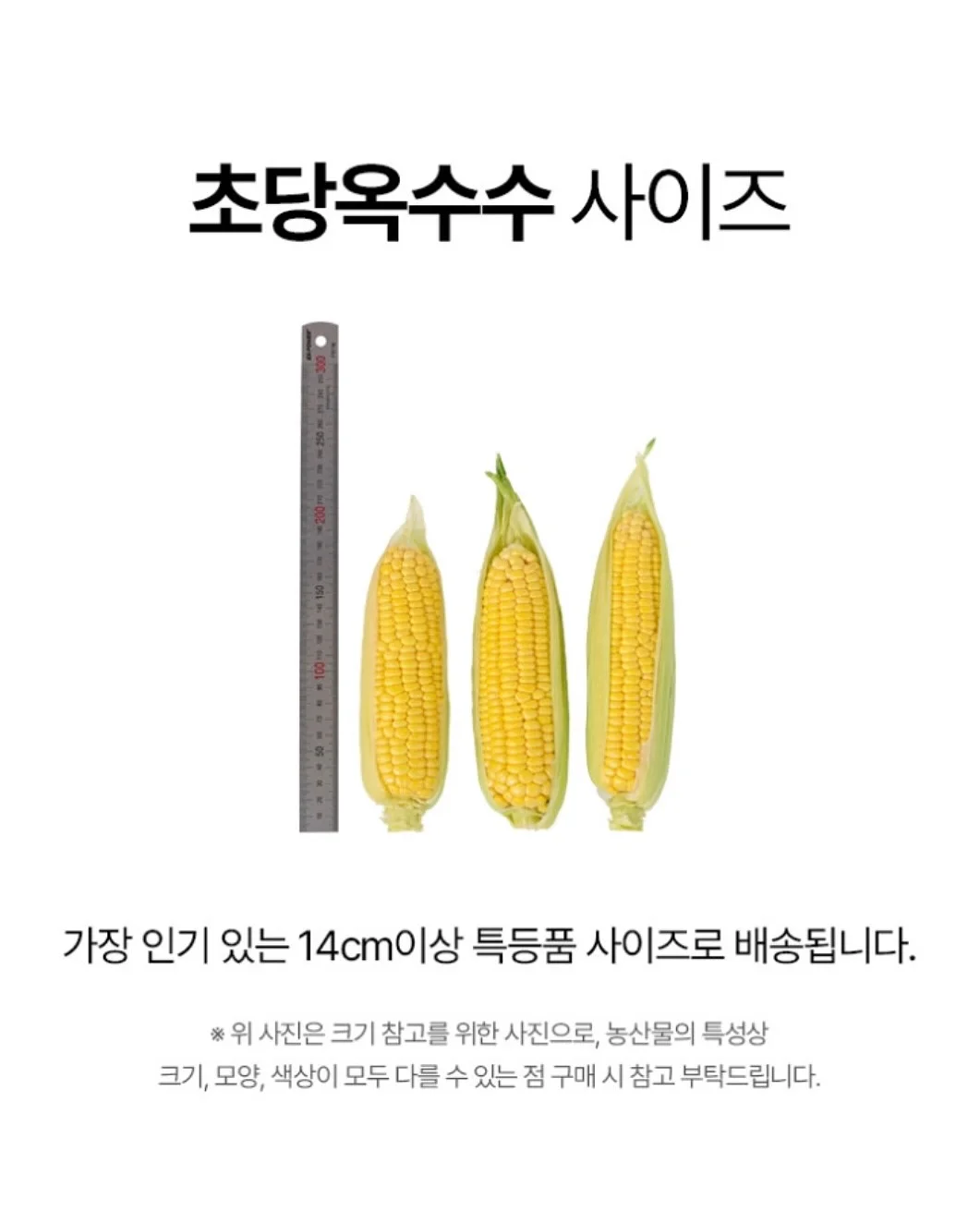 캉캉 오버롤 17