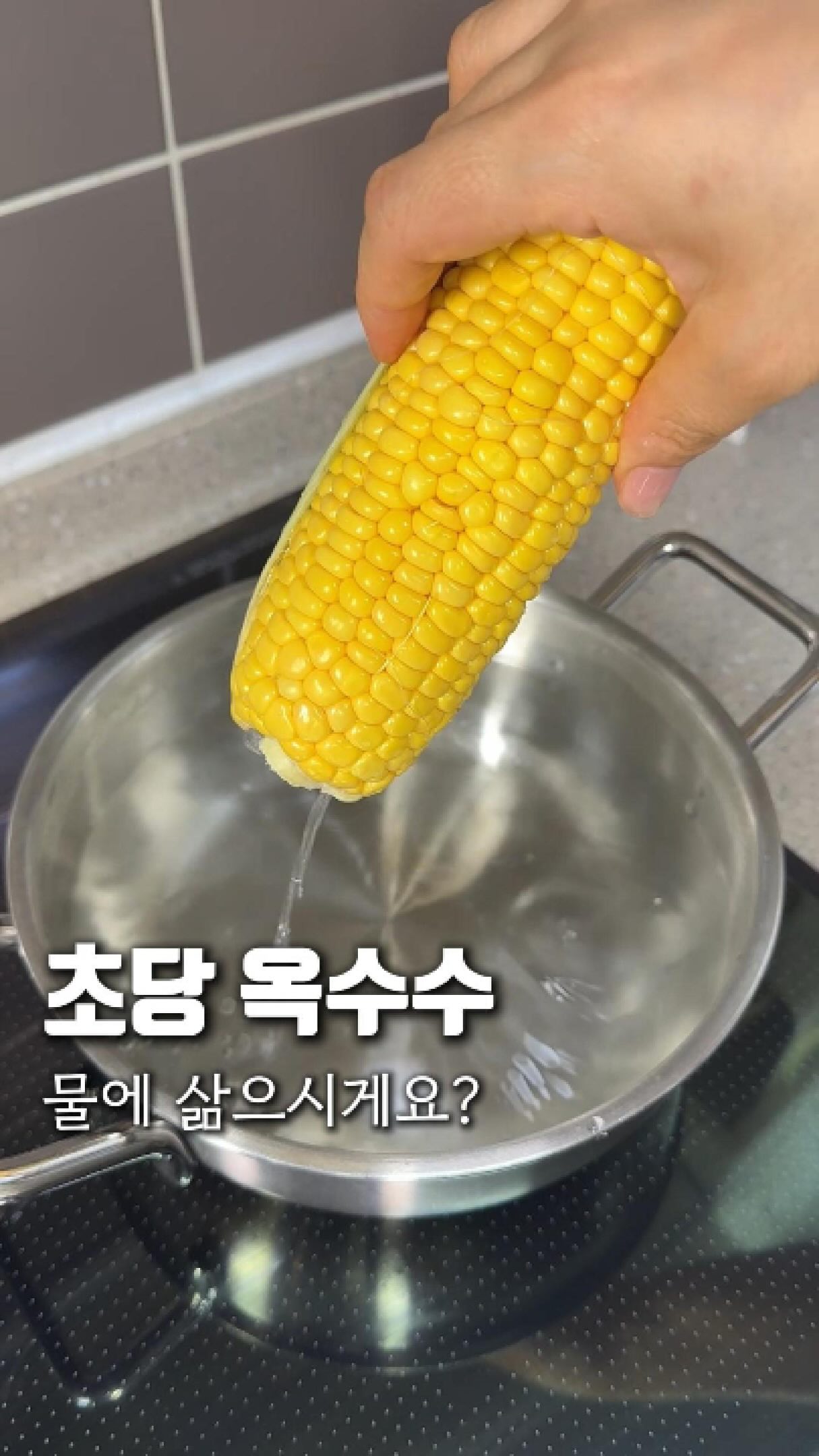 도르룸 미니 가벽