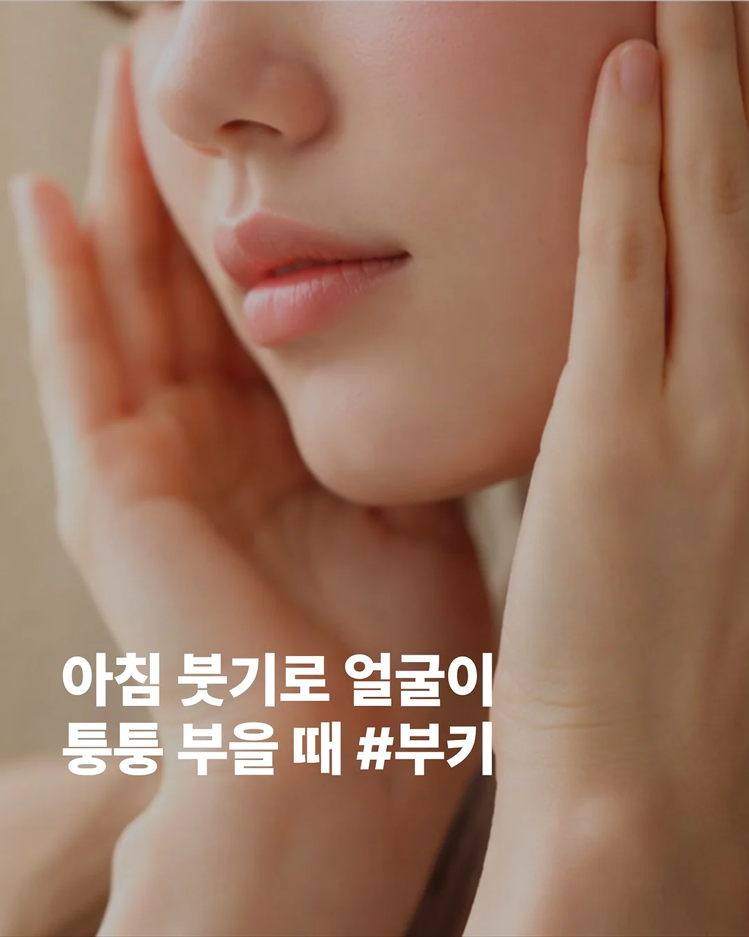 튤립t 1