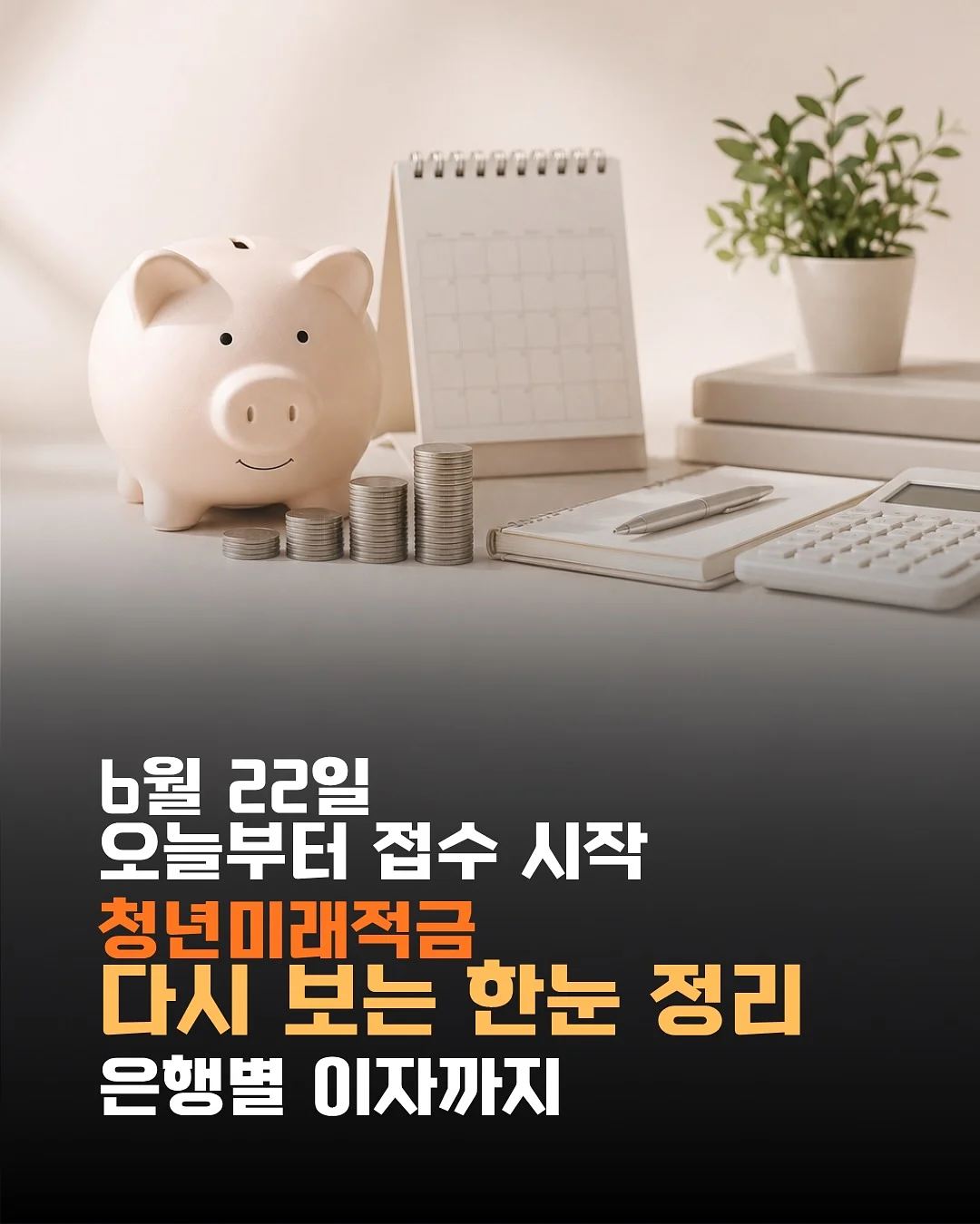 프렌치필 가디건 4