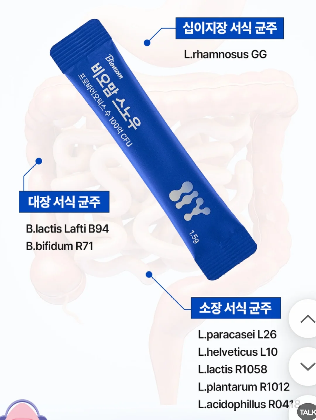 거즈햇 + 거즈빕 세트 4