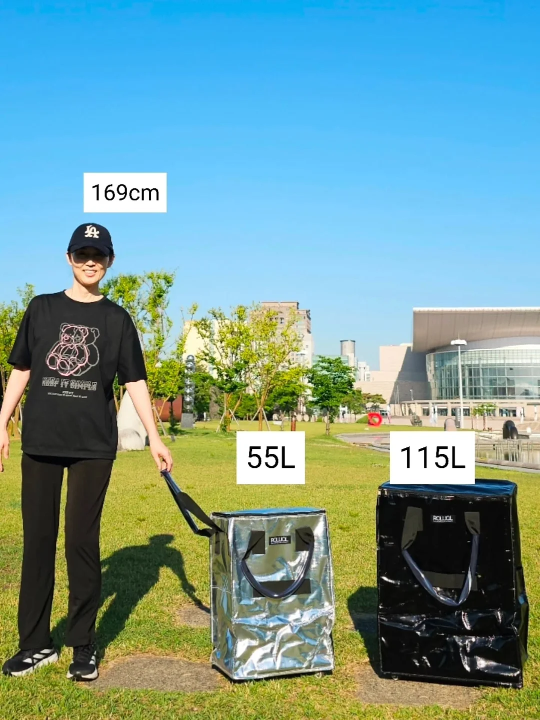 디스웰러 11