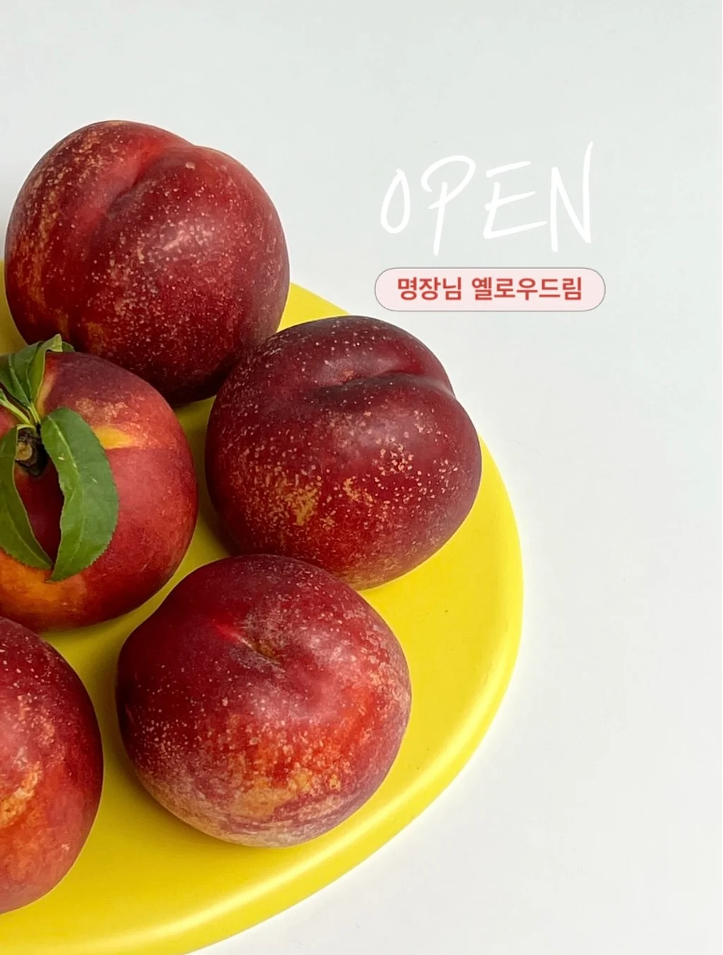 체크 셔츠