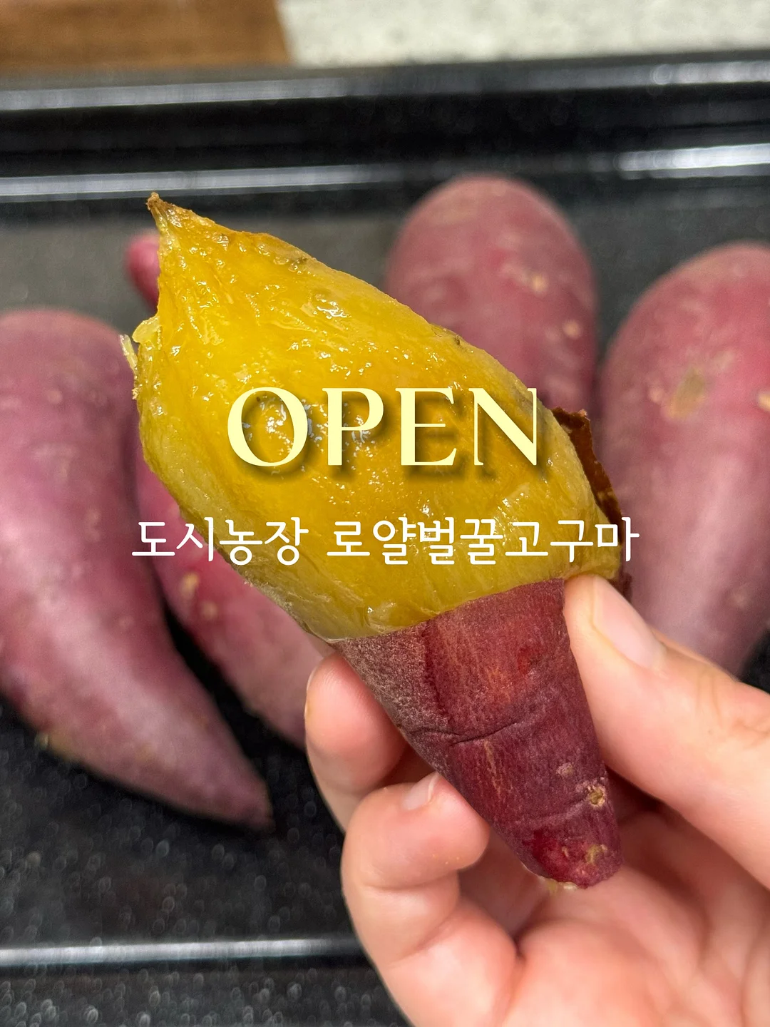 오아 포켓롤 해외여행용 멀티어댑터 1