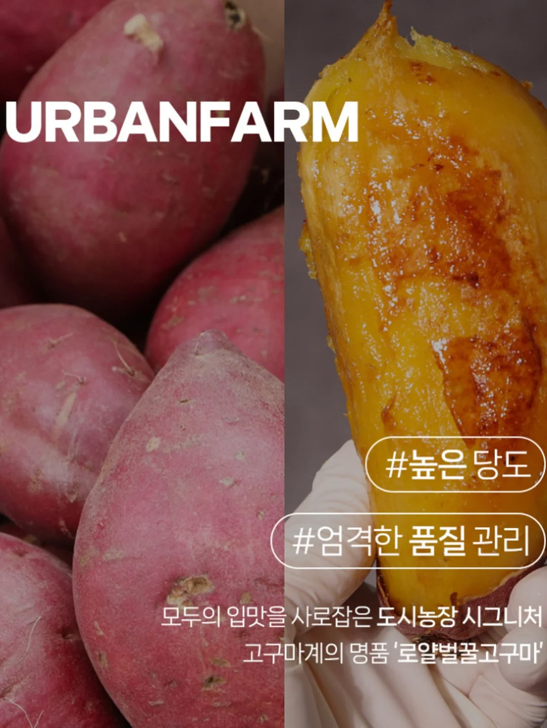 오아 포켓롤 해외여행용 멀티어댑터 12