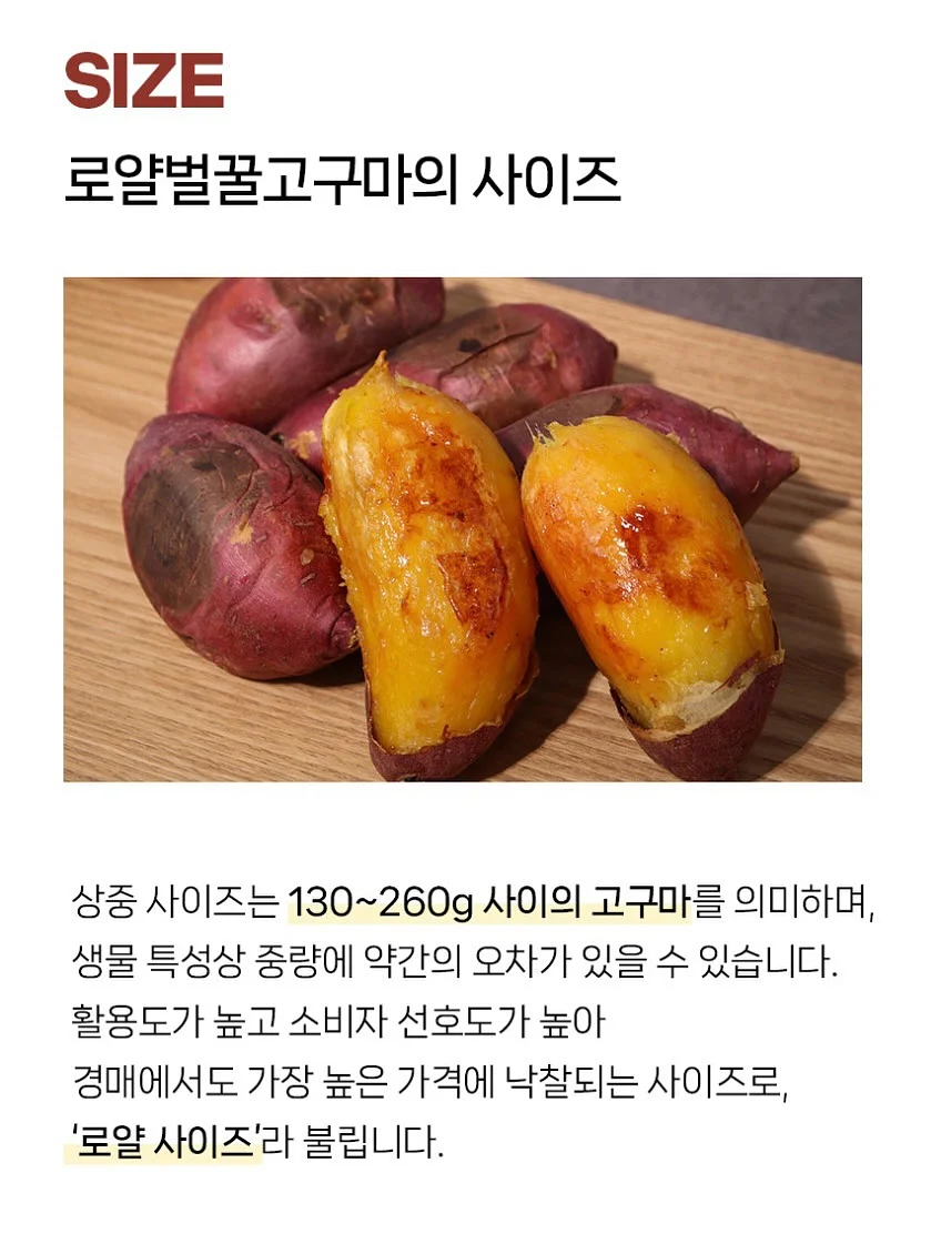 오아 포켓롤 해외여행용 멀티어댑터 7