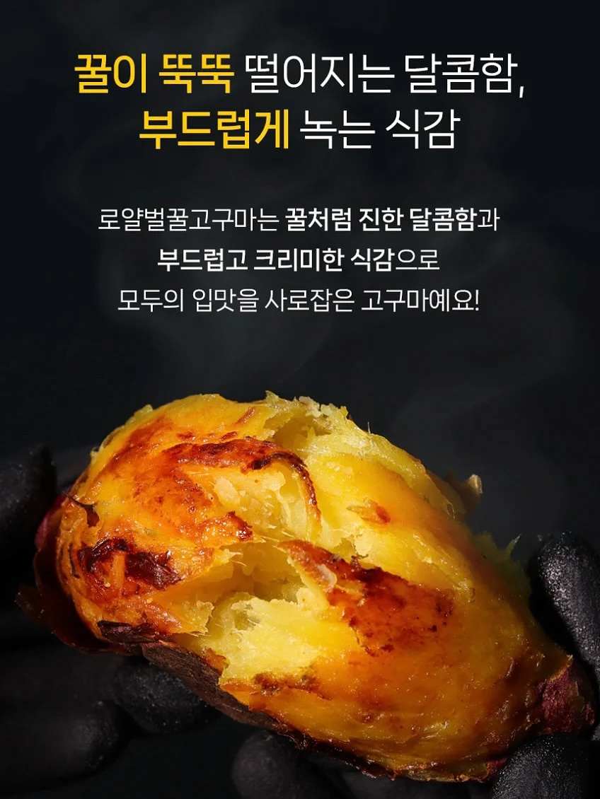 오아 포켓롤 해외여행용 멀티어댑터 8