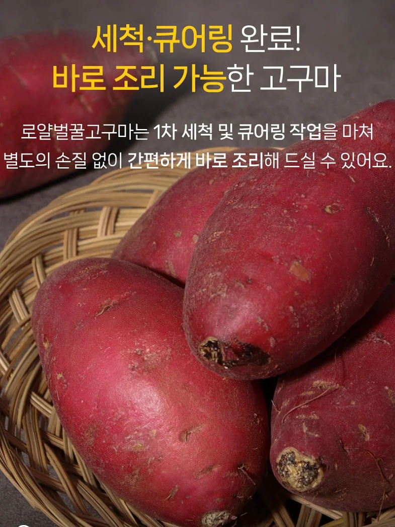 오아 포켓롤 해외여행용 멀티어댑터 10