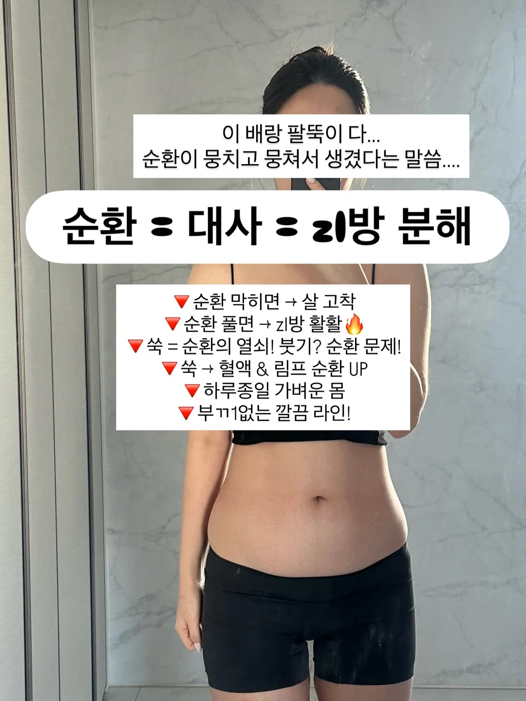 무해 신제품 도기 12