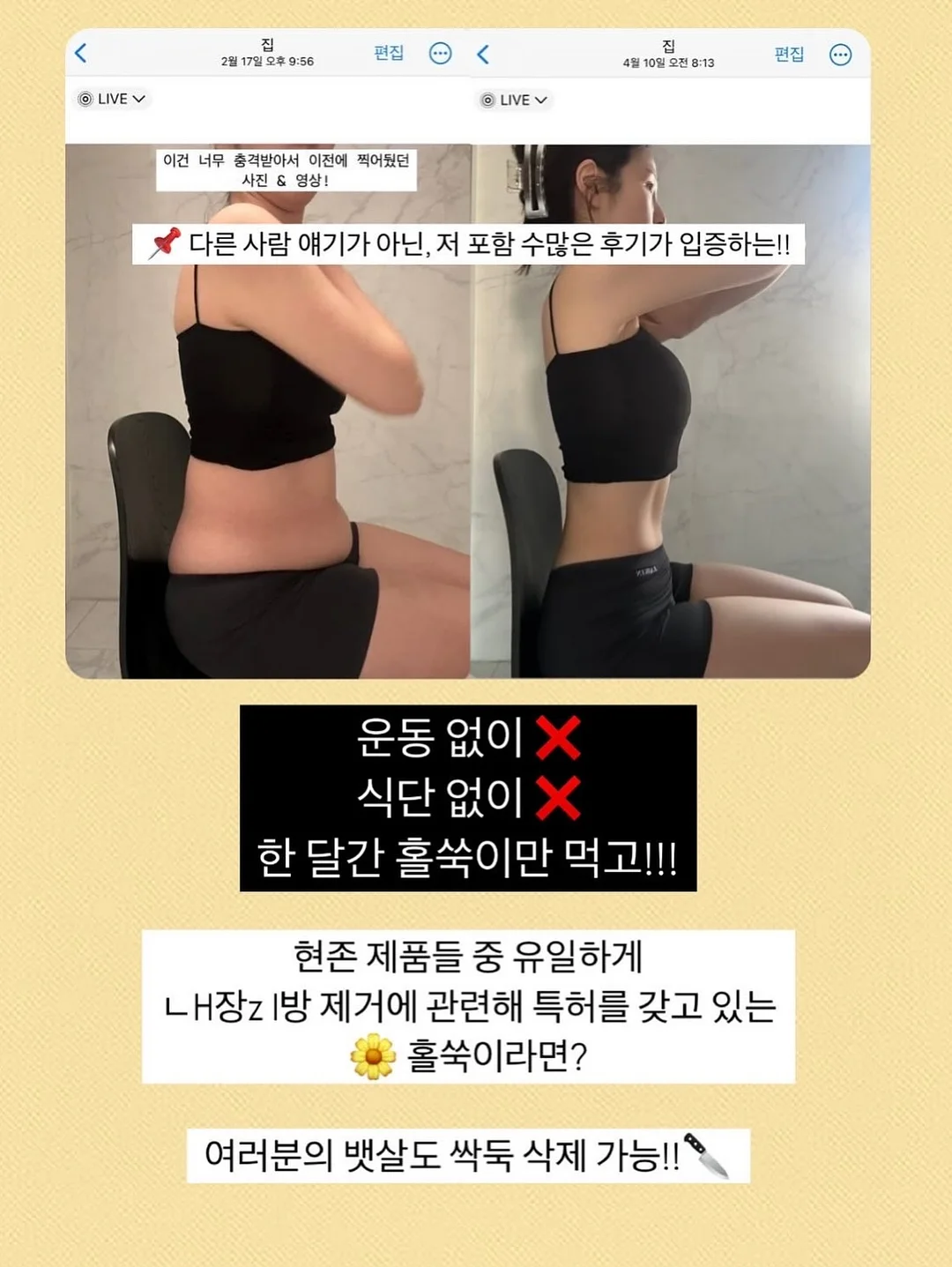 무해 신제품 도기 15