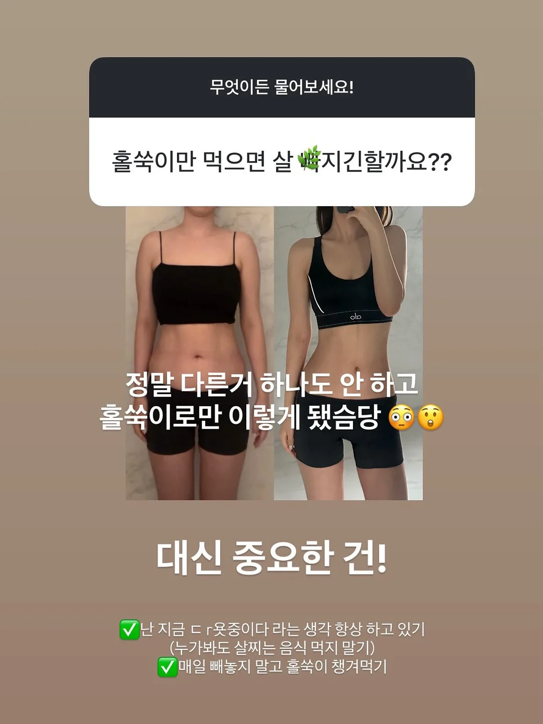 무해 신제품 도기 16