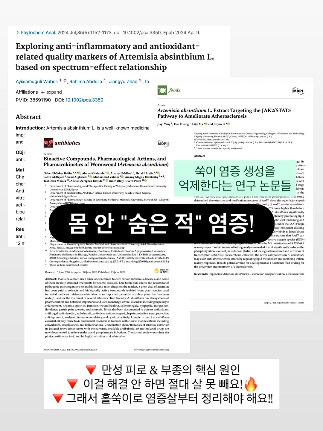 무해 신제품 도기 5