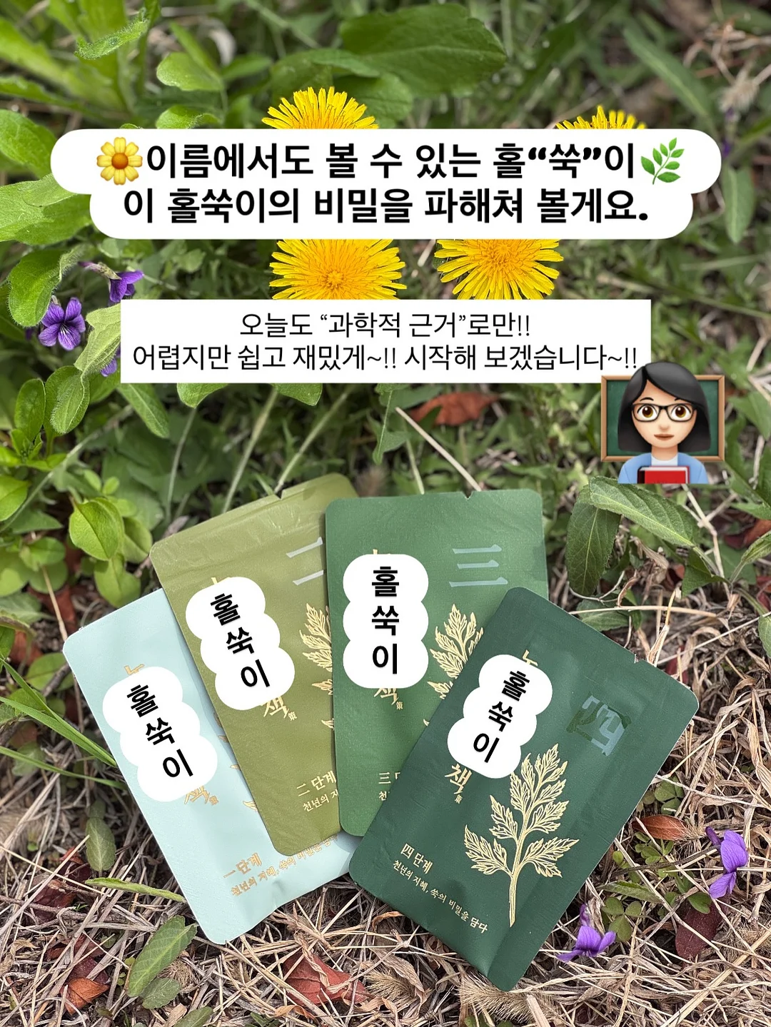무해 신제품 도기 6