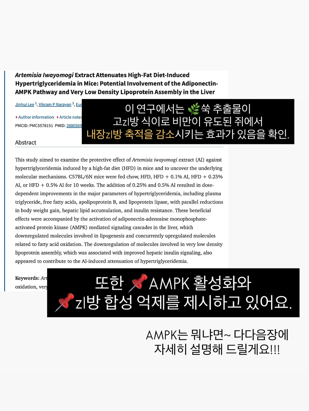 무해 신제품 도기 9