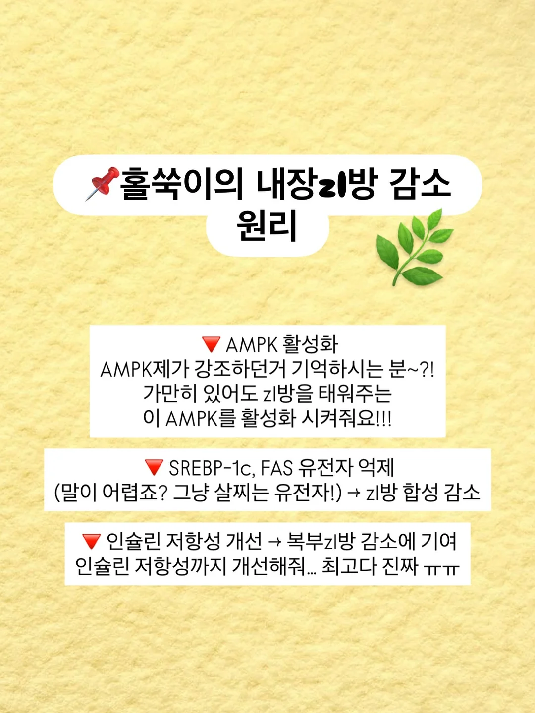 무해 신제품 도기 10