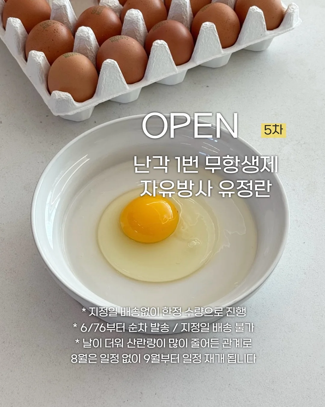 모첼 골지 니트 1