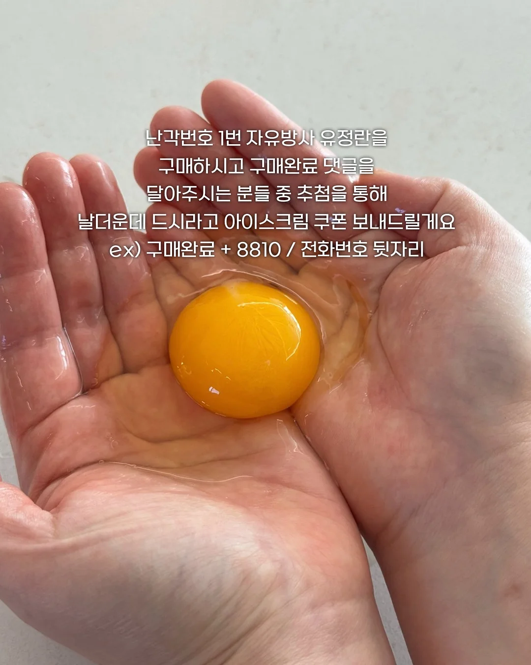모첼 골지 니트 2